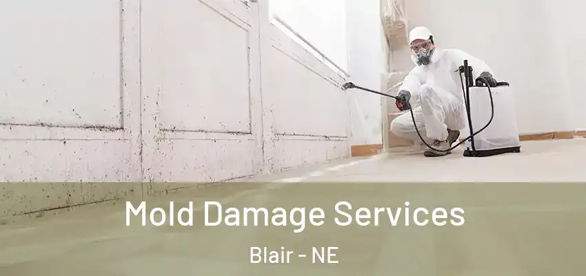  Mold Damage Services Blair - NE