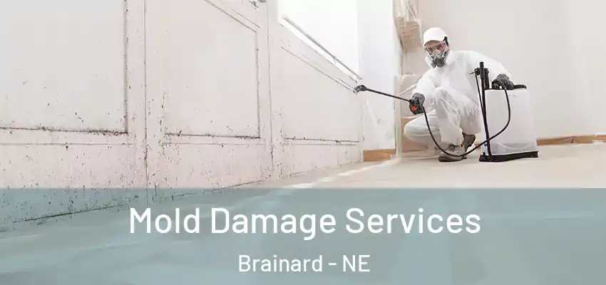  Mold Damage Services Brainard - NE