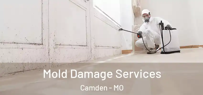  Mold Damage Services Camden - MO