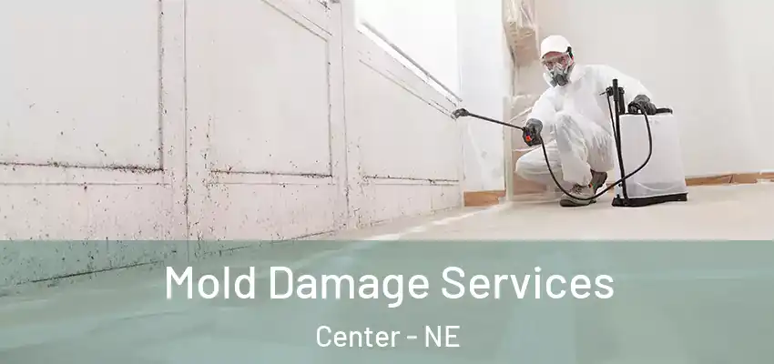 Mold Damage Services Center - NE