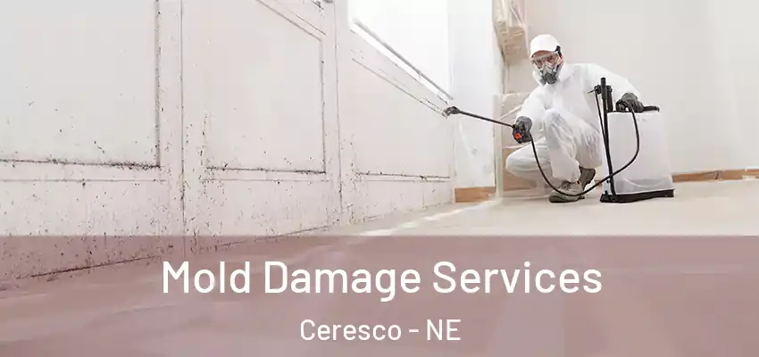 Mold Damage Services Ceresco - NE