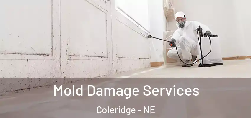  Mold Damage Services Coleridge - NE