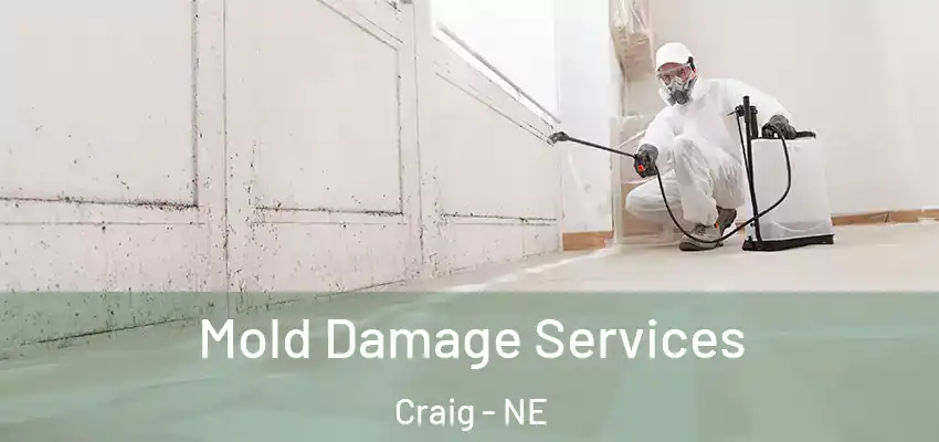 Mold Damage Services Craig - NE