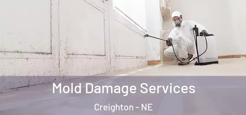  Mold Damage Services Creighton - NE