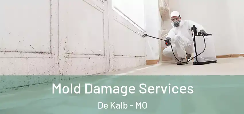 Mold Damage Services De Kalb - MO