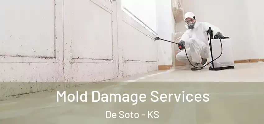  Mold Damage Services De Soto - KS