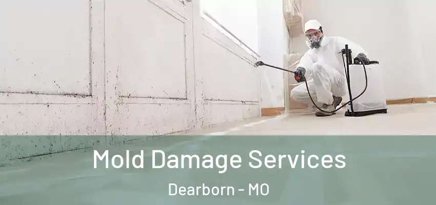  Mold Damage Services Dearborn - MO