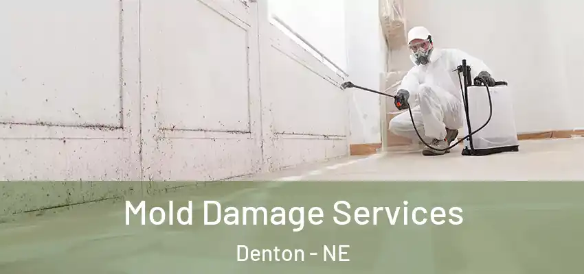 Mold Damage Services Denton - NE