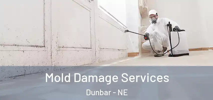 Mold Damage Services Dunbar - NE