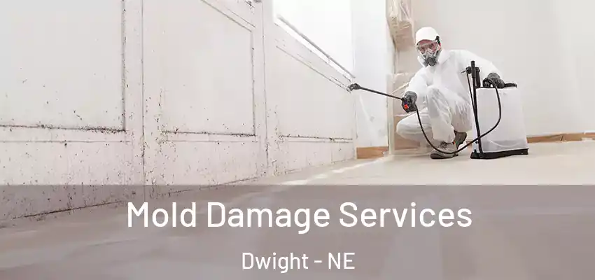  Mold Damage Services Dwight - NE