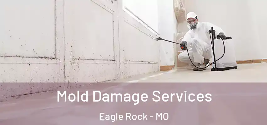  Mold Damage Services Eagle Rock - MO