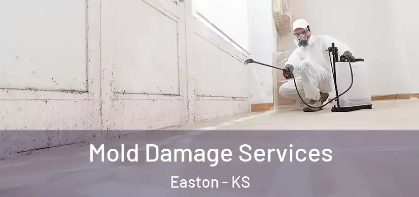 Mold Damage Services Easton - KS