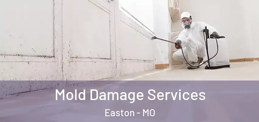 Mold Damage Services Easton - MO
