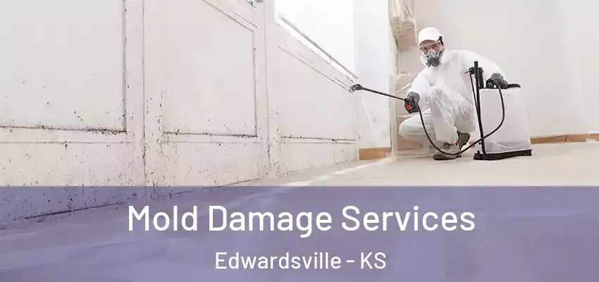  Mold Damage Services Edwardsville - KS