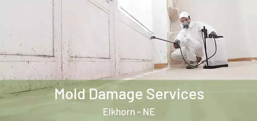  Mold Damage Services Elkhorn - NE