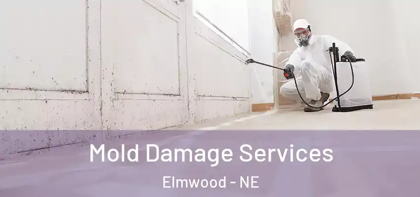 Mold Damage Services Elmwood - NE