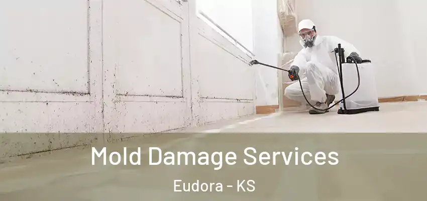 Mold Damage Services Eudora - KS
