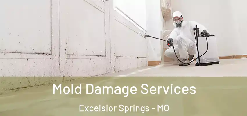  Mold Damage Services Excelsior Springs - MO