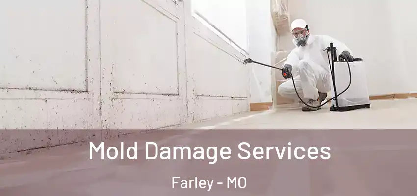  Mold Damage Services Farley - MO