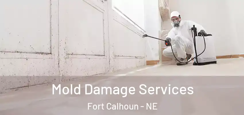  Mold Damage Services Fort Calhoun - NE