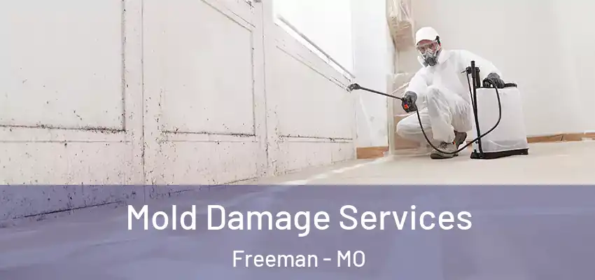  Mold Damage Services Freeman - MO