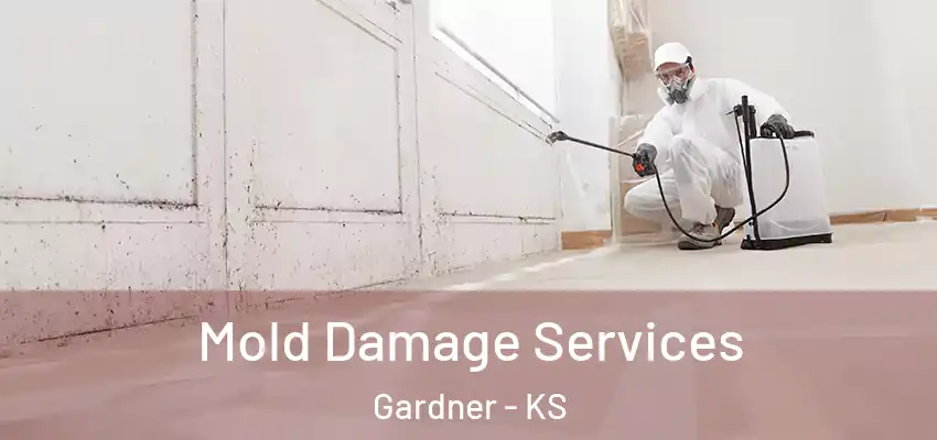  Mold Damage Services Gardner - KS