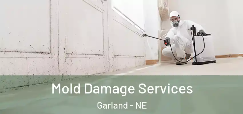  Mold Damage Services Garland - NE