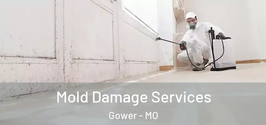  Mold Damage Services Gower - MO