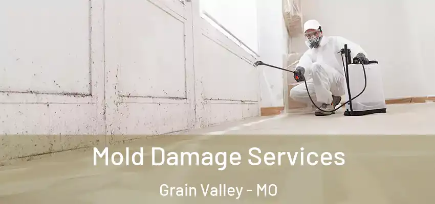  Mold Damage Services Grain Valley - MO