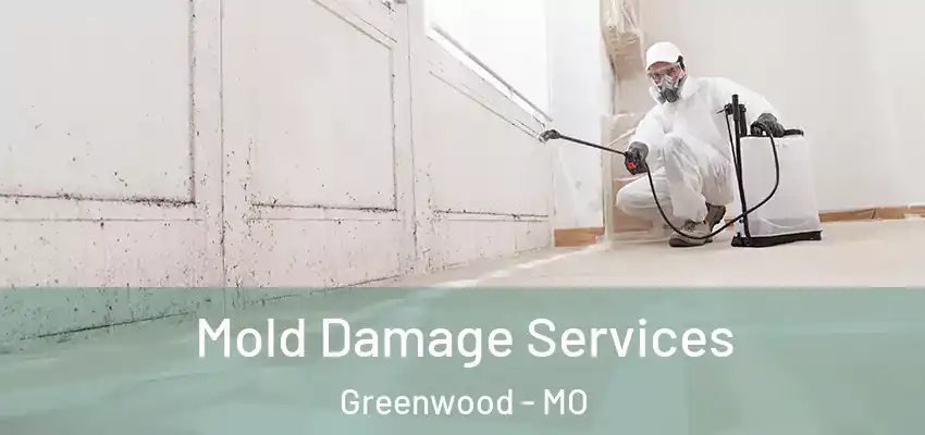  Mold Damage Services Greenwood - MO