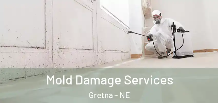 Mold Damage Services Gretna - NE