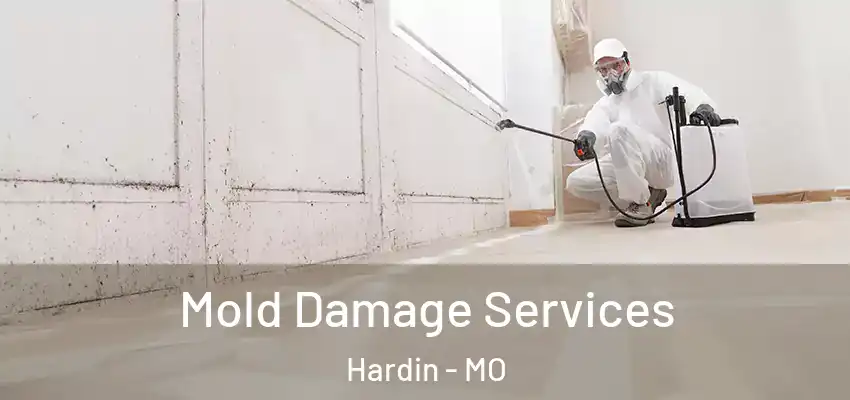  Mold Damage Services Hardin - MO