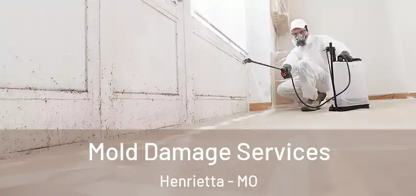  Mold Damage Services Henrietta - MO