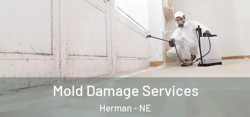Mold Damage Services Herman - NE