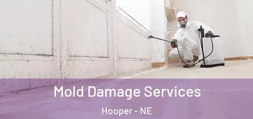  Mold Damage Services Hooper - NE