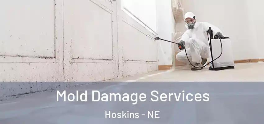  Mold Damage Services Hoskins - NE
