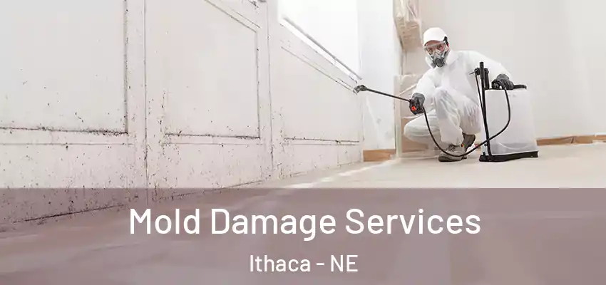  Mold Damage Services Ithaca - NE