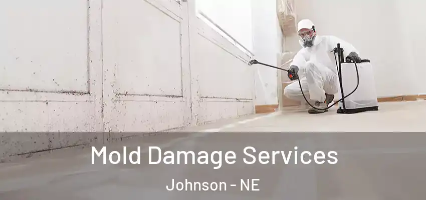  Mold Damage Services Johnson - NE