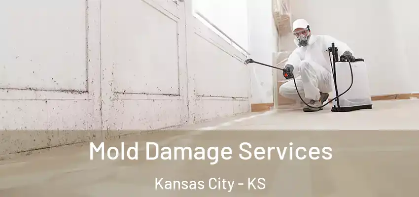 Mold Damage Services Kansas City - KS