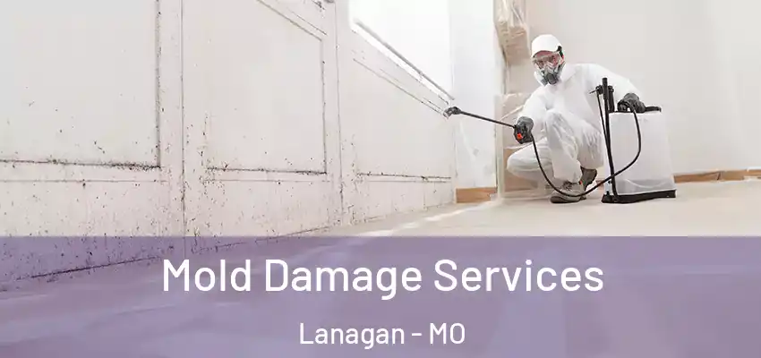  Mold Damage Services Lanagan - MO