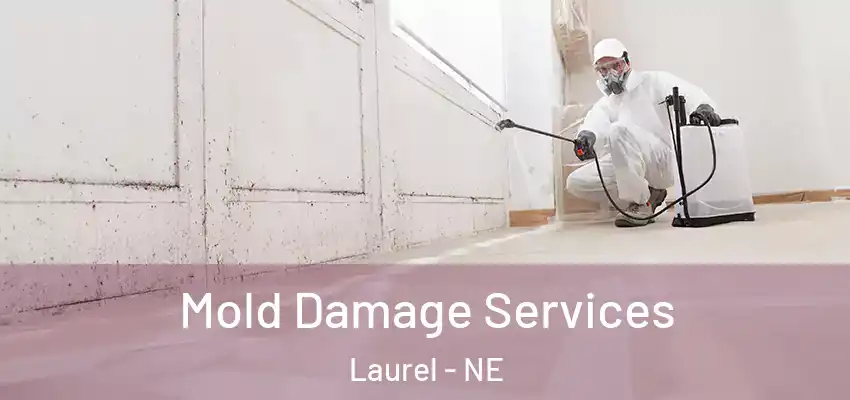  Mold Damage Services Laurel - NE