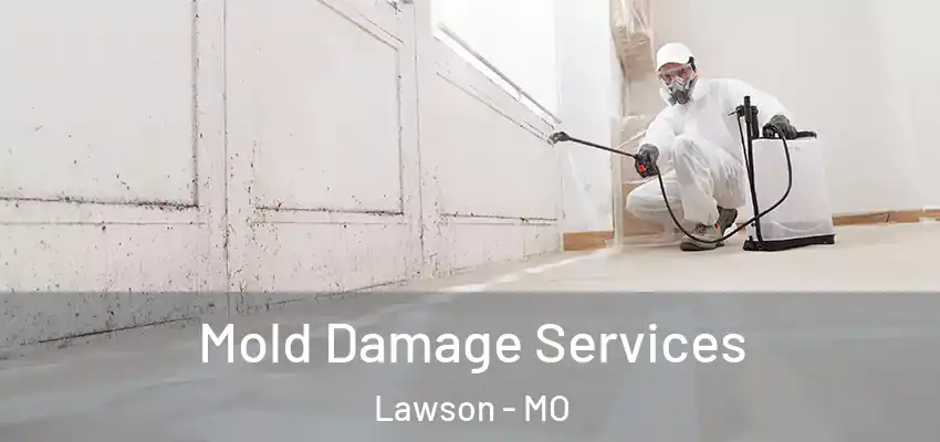  Mold Damage Services Lawson - MO