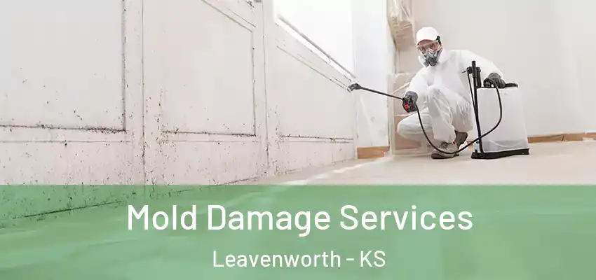  Mold Damage Services Leavenworth - KS