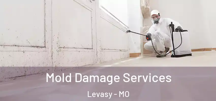  Mold Damage Services Levasy - MO