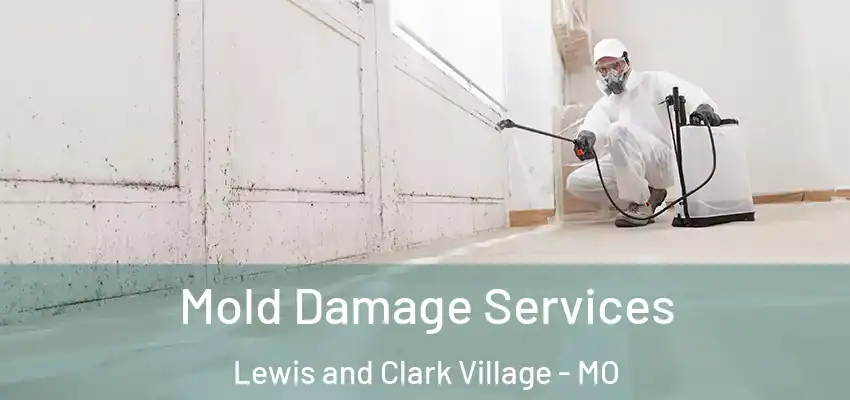  Mold Damage Services Lewis and Clark Village - MO