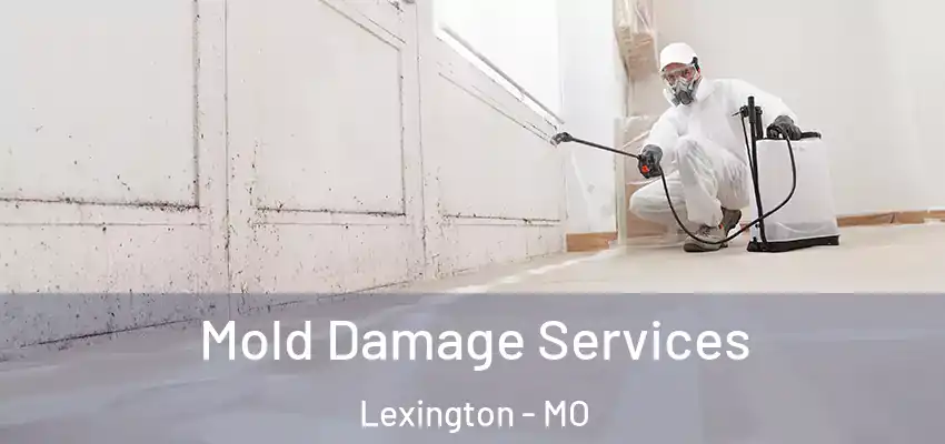 Mold Damage Services Lexington - MO
