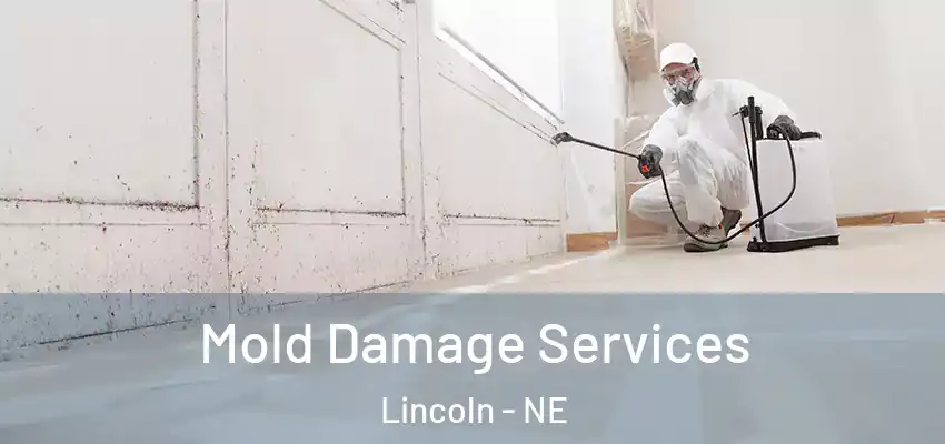 Mold Damage Services Lincoln - NE
