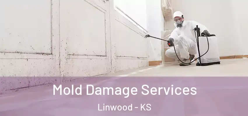  Mold Damage Services Linwood - KS