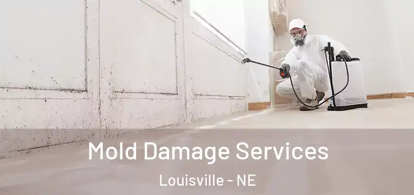  Mold Damage Services Louisville - NE