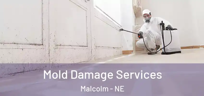  Mold Damage Services Malcolm - NE